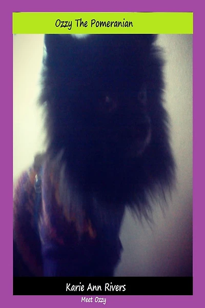 Ozzy The Pomeranian