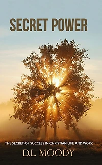 The Secret power: of Success Christian Life and Work