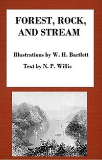 Forest, Rock, and Stream