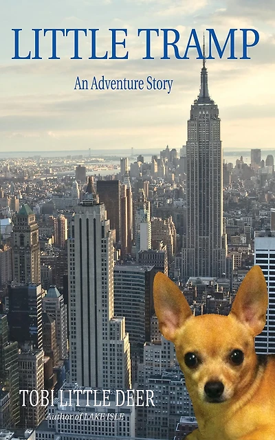 Little Tramp: An Adventure Story