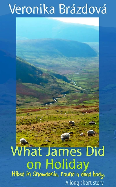 What James Did on Holiday (The Adventures of James, Martin, and Rose, #1)