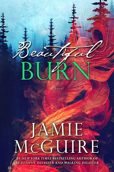 Beautiful Burn (Maddox Brothers Series #4)
