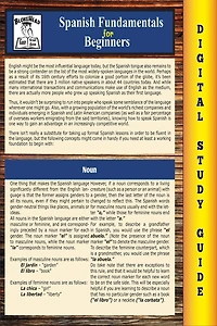 Spanish Fundamentals ( Blokehead Easy Study Guide)