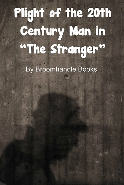 Plight of the 20th Century Man in "The Stranger"