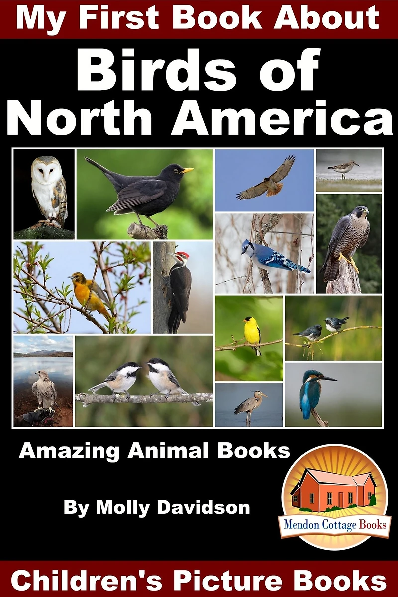 My First Book About the Birds of North America - Amazing Animal Books Children's Picture