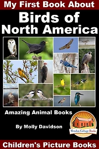 My First Book About the Birds of North America - Amazing Animal Books Children's Picture