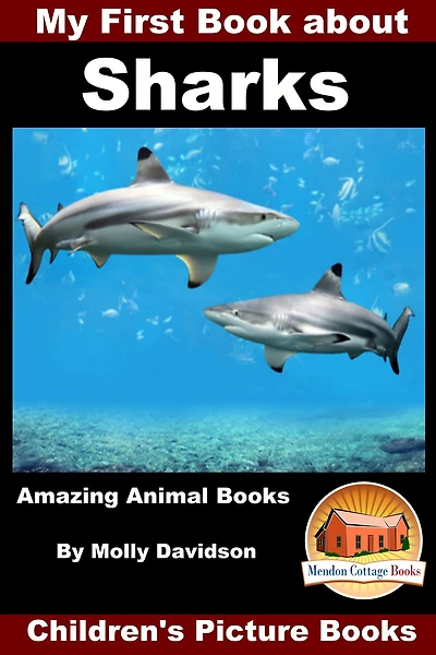 My First Book about Sharks - Amazing Animal Books Children's Picture
