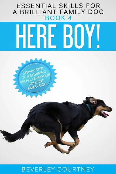 Here Boy!: Step-by-Step to a Stunning Recall from Your Brilliant Family Dog (Essential Skills for Series #4)