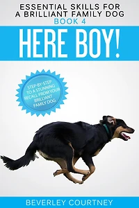 Here Boy!: Step-by-Step to a Stunning Recall from Your Brilliant Family Dog (Essential Skills for Series #4)