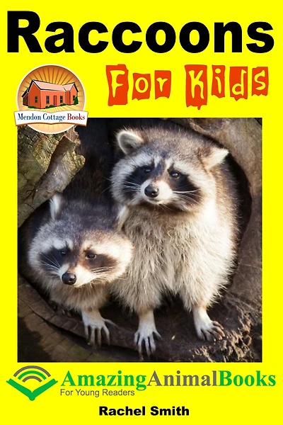 Raccoons For Kids