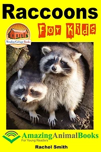 Raccoons For Kids
