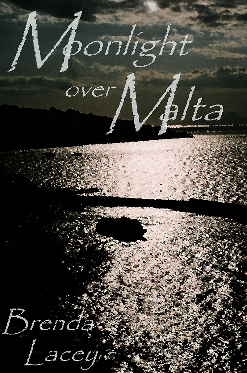 Moonlight over Malta