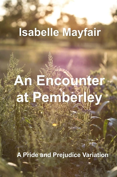 An Encounter At Pemberley