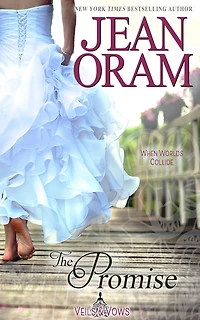 The Promise (Veils and Vows, #0): An Opposites Attract Romance