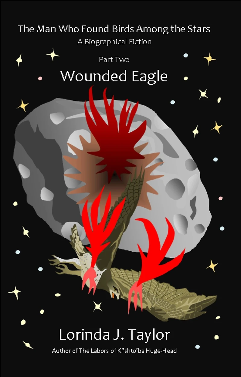 The Man Who Found Birds among the Stars, Part Two: Wounded Eagle