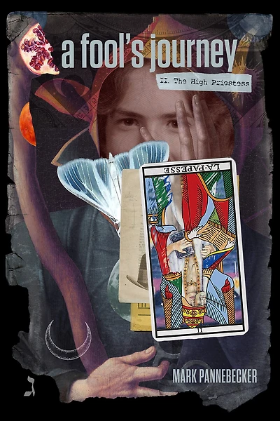 A Fool's Journey: Book II, The High Priestess