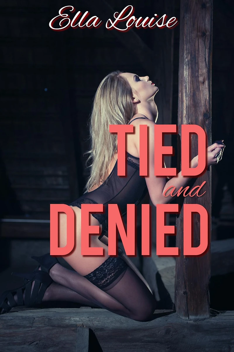 Tied and Denied (Permission Denied, #1)