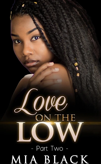 Love On The Low 2 (Secret Love Series, #2)