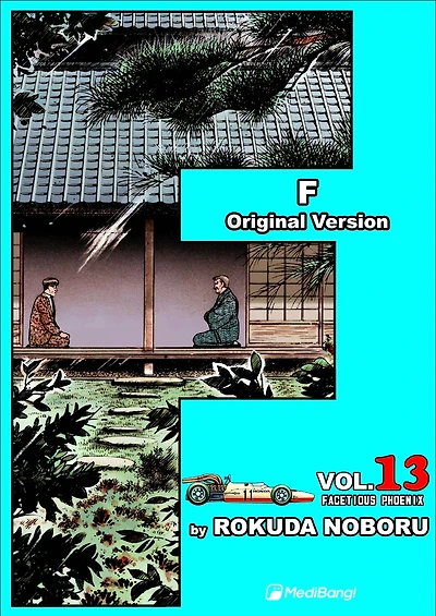 F: Volume 13