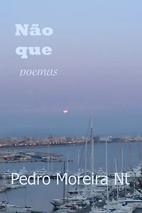 Não que: poemas
