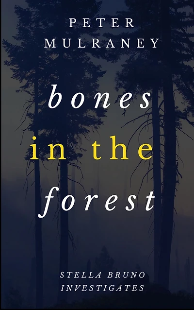 Bones in the Forest (Stella Bruno Investigates, #3)