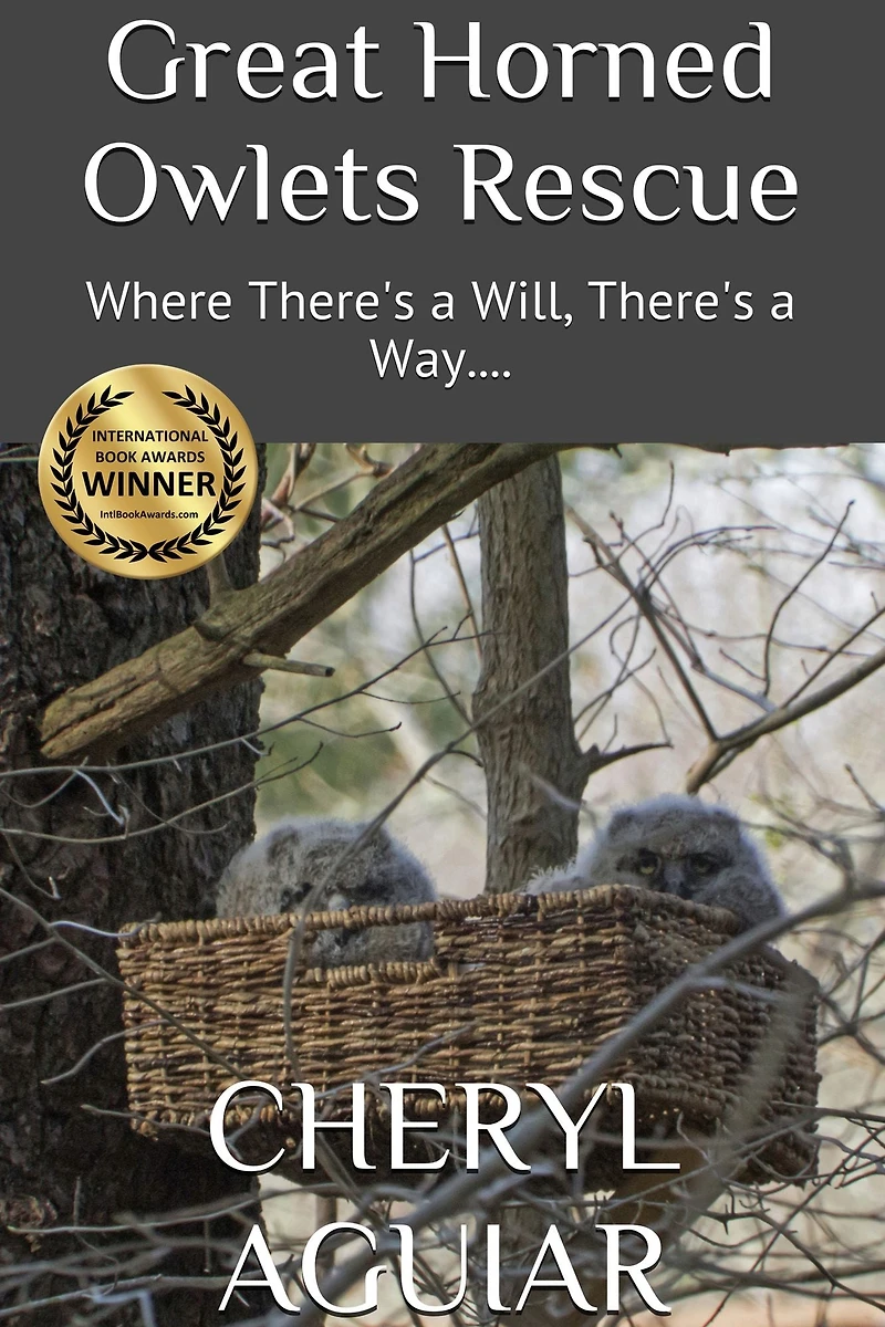 Great Horned Owlets Rescue: Where There's a Will, Way....