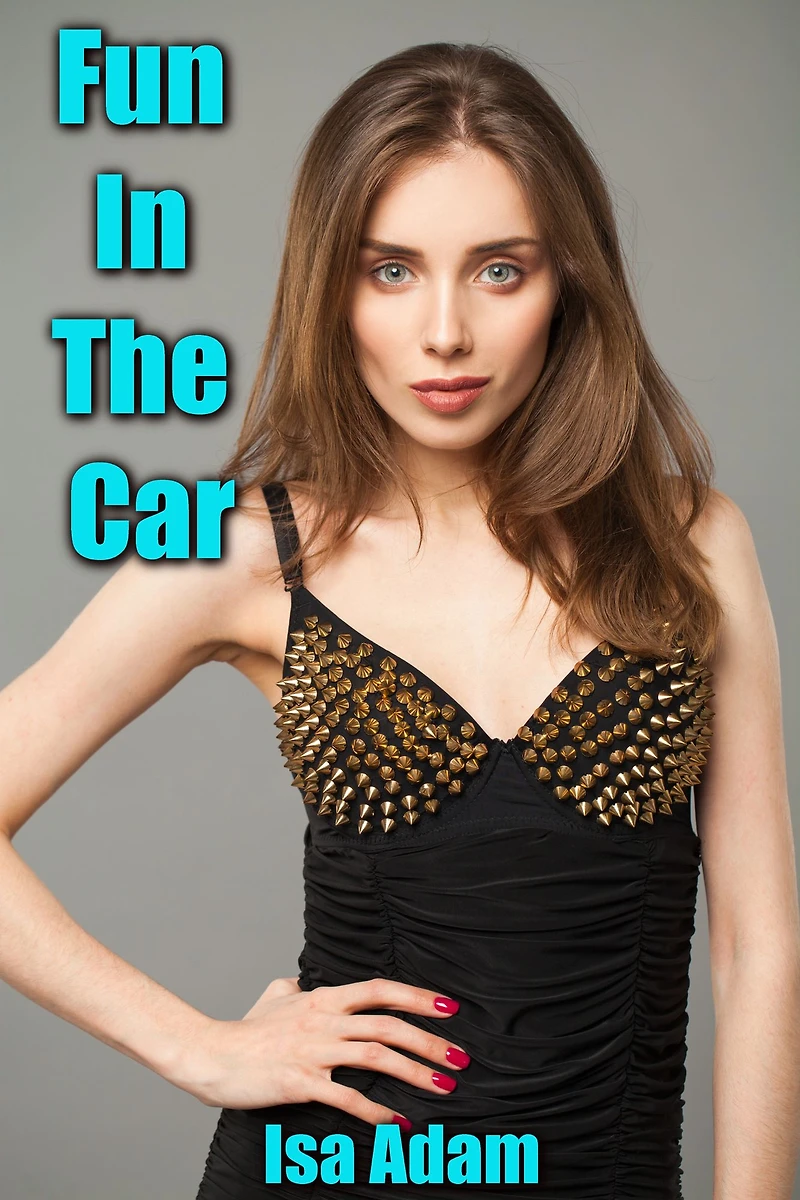 Fun In The Car