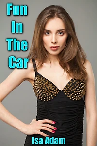 Fun In The Car