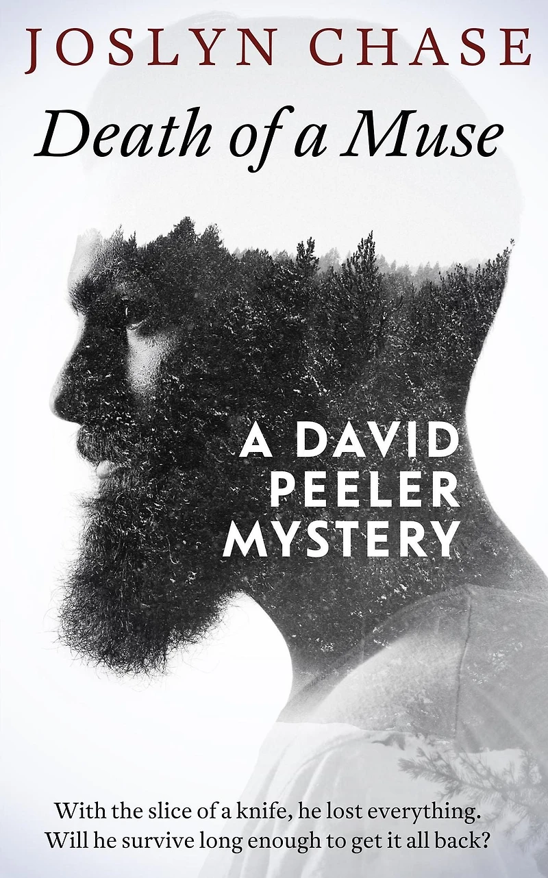 Death of a Muse (David Peeler Mysteries, #1)