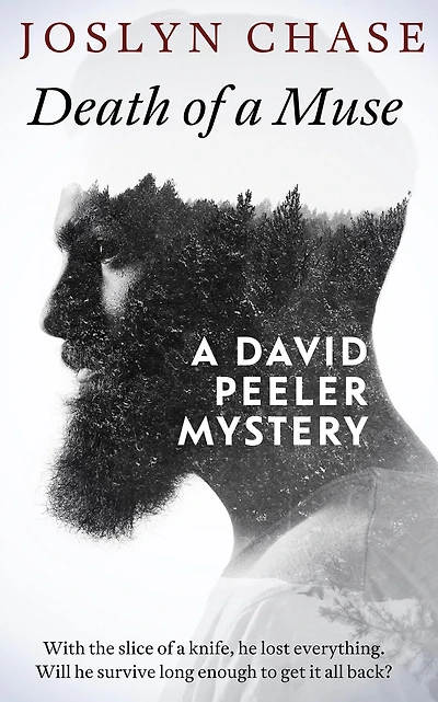 Death of a Muse (David Peeler Mysteries, #1)