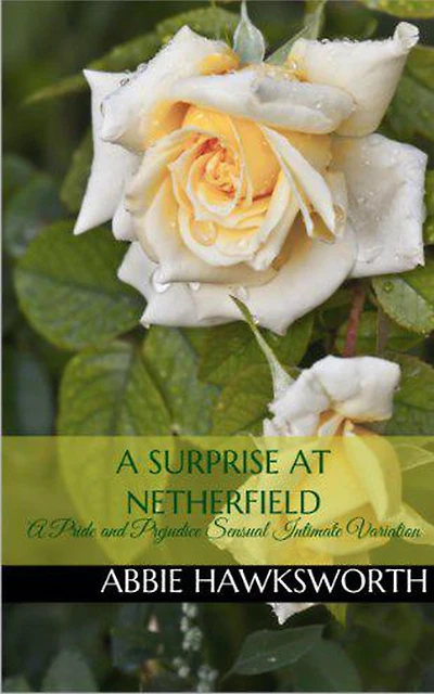 A Surprise at Netherfield: A Pride and Prejudice Sensual Intimate Novella (Mr. Darcy's Secret Engagement, #2)