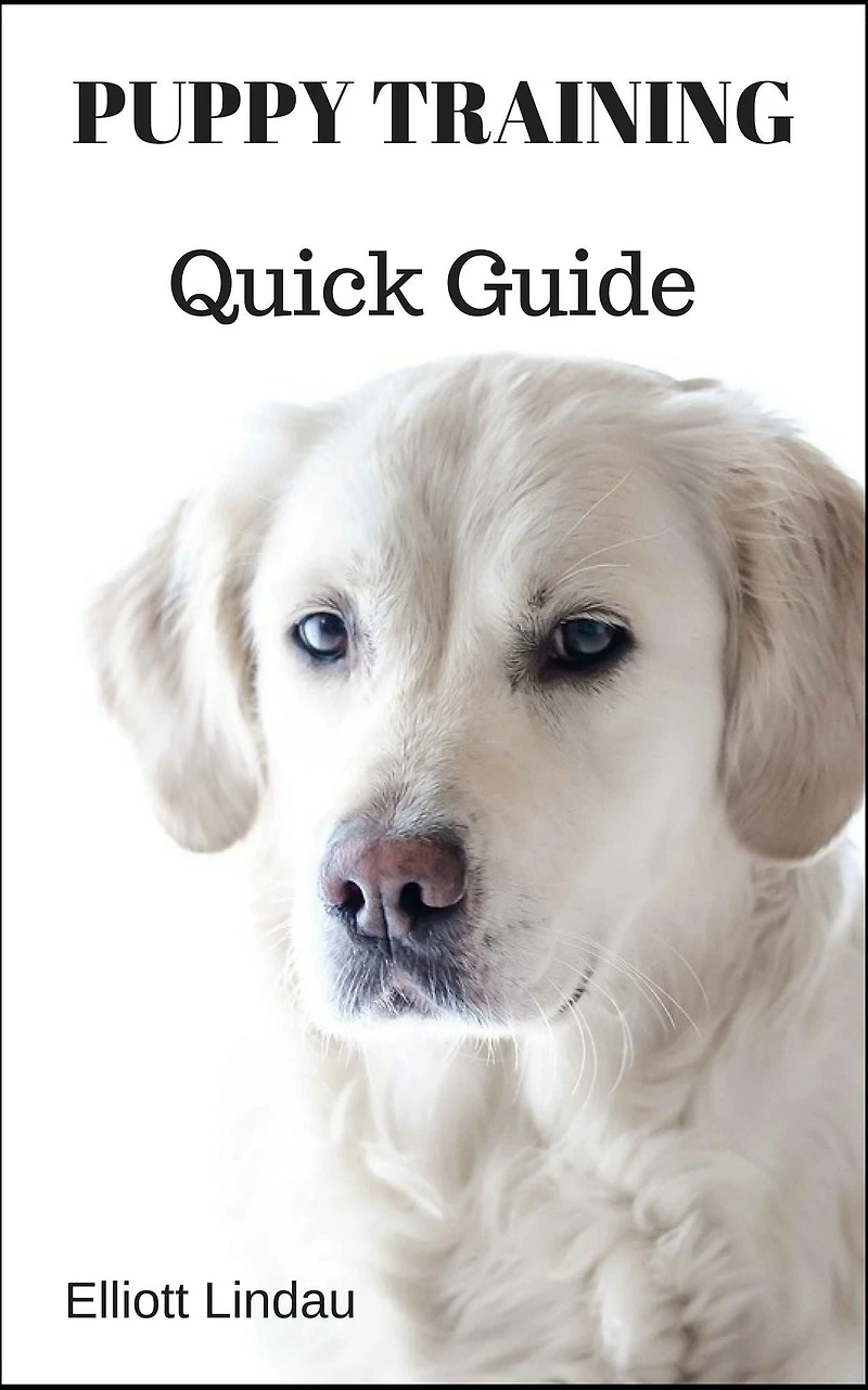 Puppy Training Quick Guide