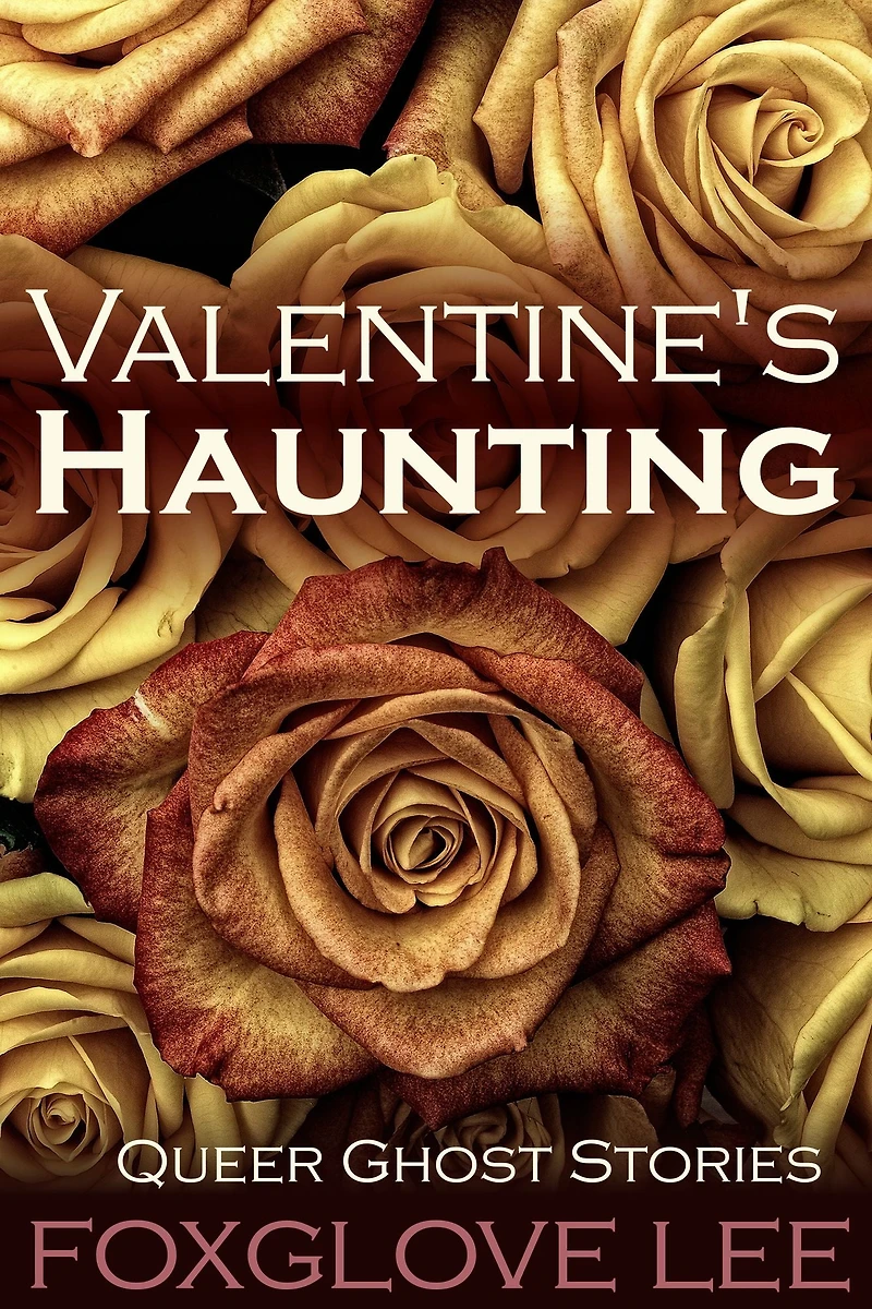 Valentine's Haunting (Queer Ghost Stories, #14)