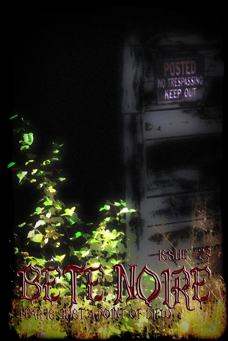 Bete Noire Issue #27