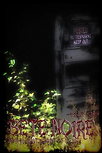 Bete Noire Issue #27