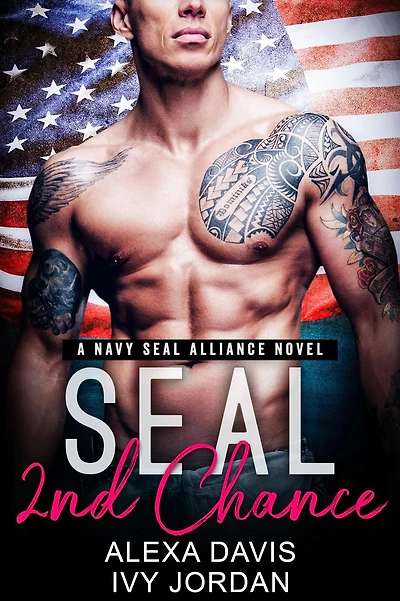 Seal's Second Chance (SEAL Alliance Romance Series, #1)