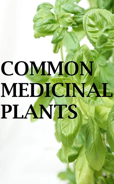Common Medicinal Plants: Uses and Cultivation Practices