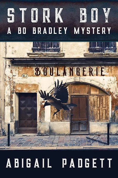 Stork Boy (Bo Bradley Mystery, #6)