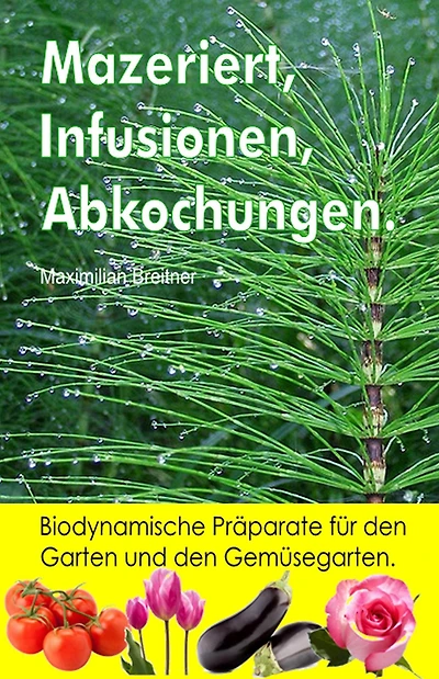 Mazeriert, Infusionen, Abkochungen. Biodynamische Präparate für den Garten und den Gemüsegarten.