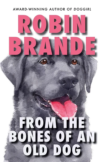 From the Bones of an Old Dog