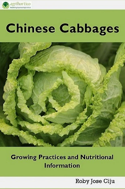 Chinese Cabbages Growing Practices and Nutritional Information