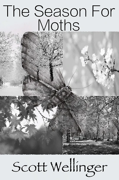 The Season For Moths