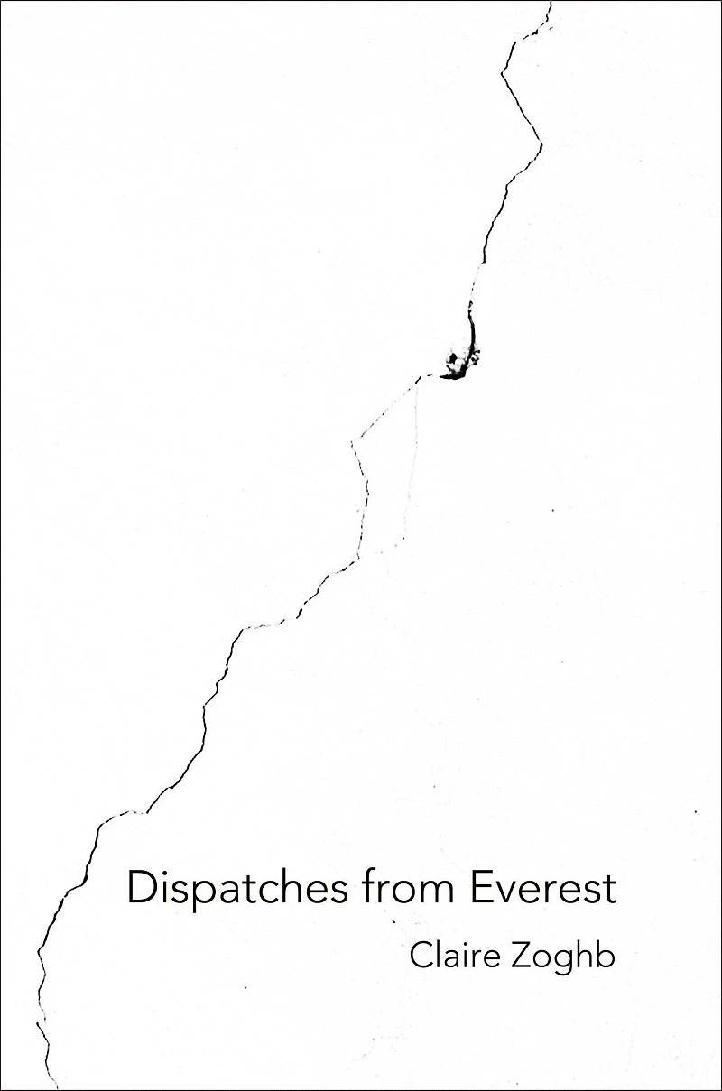 Dispatches from Everest
