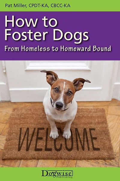 How To Foster Dogs - From Homeless Homeward Bound