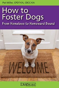 How To Foster Dogs - From Homeless Homeward Bound