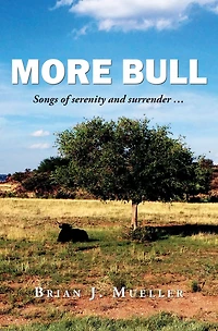More Bull: Songs of serenity and surrender