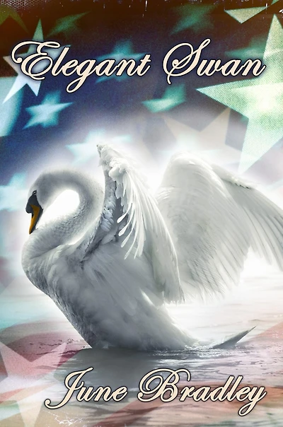 An Elegant Swan