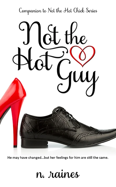 Not the Hot Guy: A Companion to the Not the Hot Chick Series