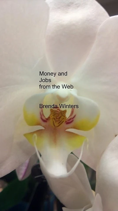 Money and Jobs from the Web