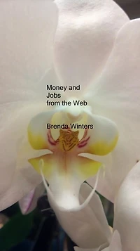 Money and Jobs from the Web